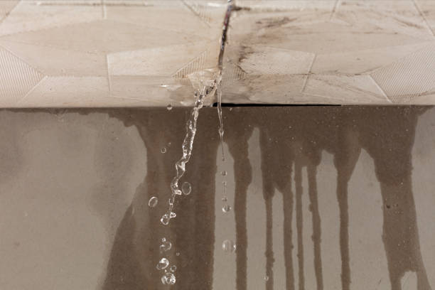 Professional Structural Drying technician working in Bankston, AL